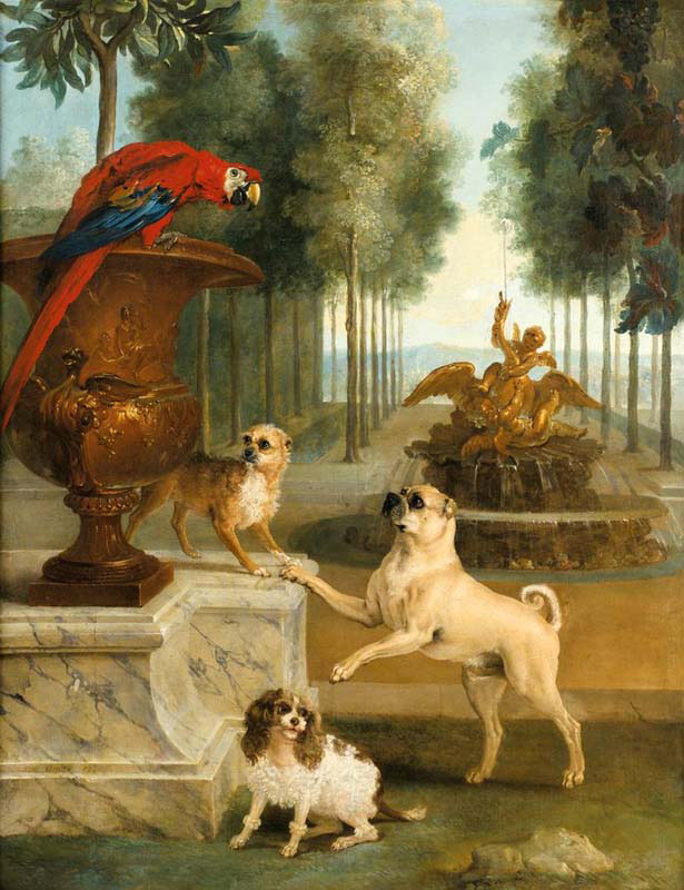 three dogs and a mcaw in the park